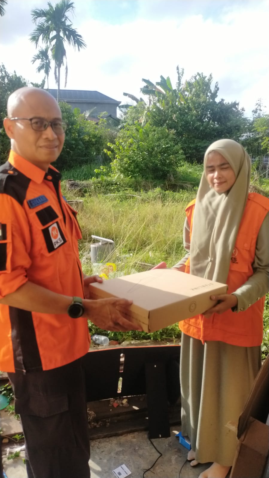 Bantuan Starlink (internet)